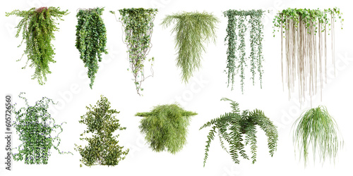 Set of various creeper plants, vol. 2, isolated on transparent background. 3D render.