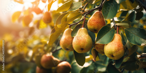 Ripe yellow Pears hanging on a pear tree branch in garden, blurred background, copy space. Orchard background, copy space. Generative ai illustration