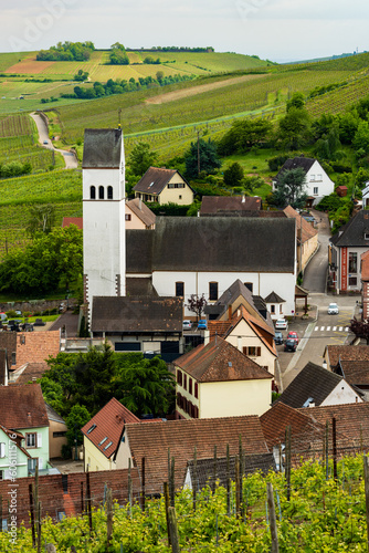 Authenticité alsacienne : Les collines de Katzenthal et l'église pittoresque, CeA, Alsace, Grand Est, France