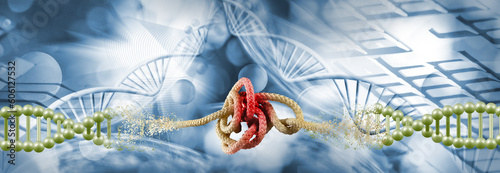 Close-up image of a DNA chain with a break in the middle part, while instead of the DNA material, a rope tangled in a knot is shown as a symbol of a difficult task against the background of an abstrac