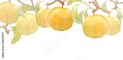 甘く実った梨の水彩イラストフレーム