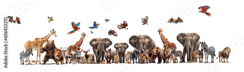 Many wild animals, elephants, zebras, giraffes, birds, tigers, lions, rhinos, tigers, leopards on a transparent background (PNG). Generative AI.