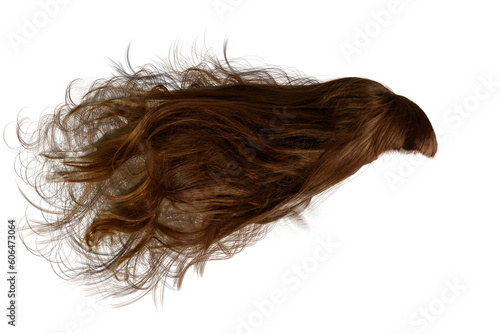 hair isolated