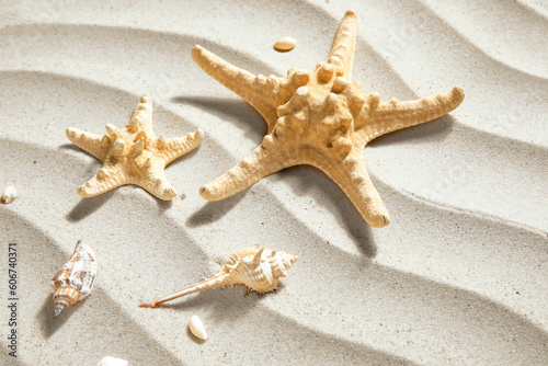 Starfishes and seashells on sand