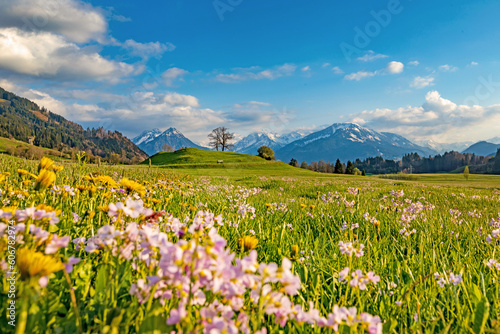 Allgäu - Frühling - Oberstdorf - Berge - Alpen - Blumen