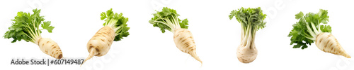 Set of parsnip isolated on transparent background 