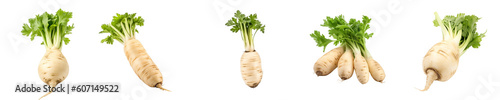 Set of parsnip isolated on transparent background 