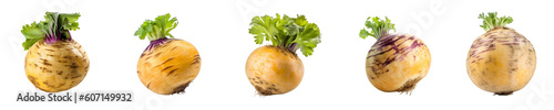 Set of rutabaga isolated on transparent background 