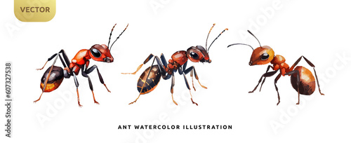 Red ant watercolor isolated on white background. Kids insect animal cartoon vector illustration