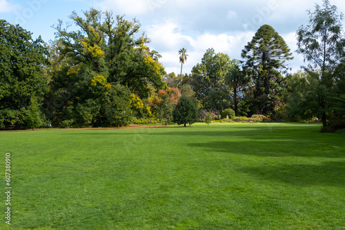 Background texture of a healthy and well maintained green lush grass lawn in a formal garden with a variety of trees in the distance. Copy space for text.