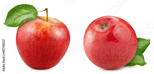 Beautiful red apples with leaves on the stem. Apples for your design. Red apple clipping path