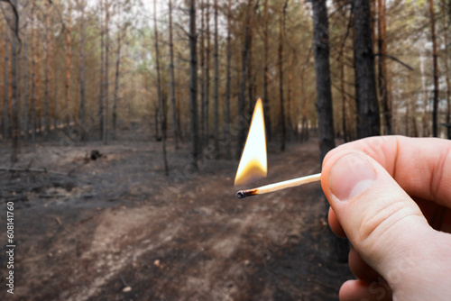Burning match in hand on the background of burnt pine forest. Wildfire in forest caused by left burning match