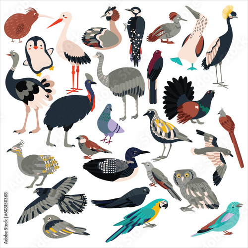 Big set of birds. Flat vector illustration.
