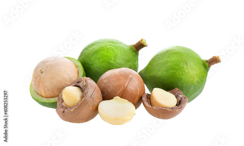 fresh macadamia nuts on transparent png