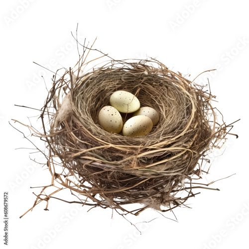 nest with eggs isolated on transparent background cutout