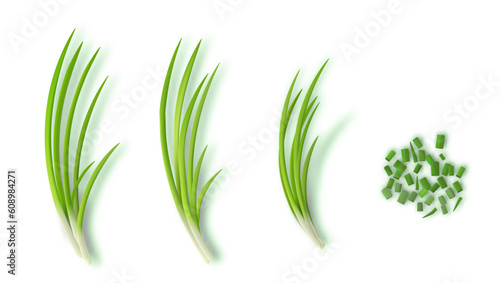 Young Green Onion Bunch And Sliced One
