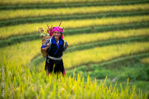 A Hmong Woman On Rice fields terraced of Mu Cang Chai, YenBai, Vietnam. 