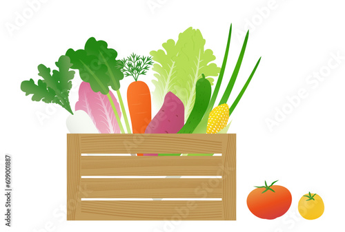 木箱に入った野菜のイラストセット（宅配、通販、収穫したてのイメージ）
