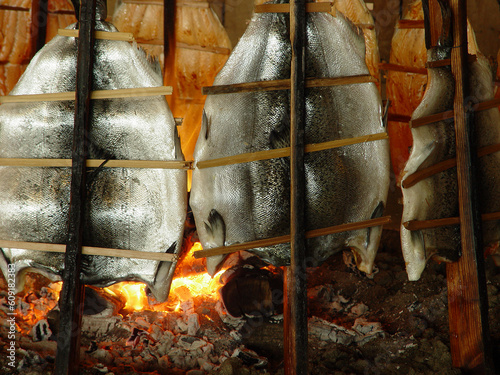 Chinook salmon cooking around an open alder-wood fire Native American style