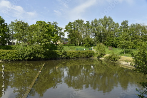 Végétation sauvage autour d'un bassin d'orage au parc des Etangs Joseph Martel à Braine-le-Comte 