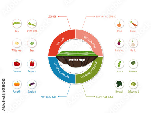 Circular Infographic: Discover the Crops in Each Crop Rotation..circular diagram with seed to crop icons on a white background.