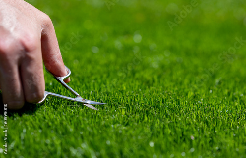 Symbol for a perfectionist who cuts the lawn with small scissors.