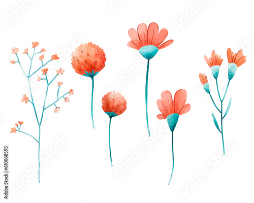 Set of wildflowers, peach colors. Digital watercolor illustration
