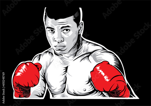 boxer vector illustration design