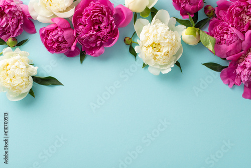 Bunches of peonies concept. Above view photo of magenta and white peony flowers, buds and petals on isolated light blue background with copy-space