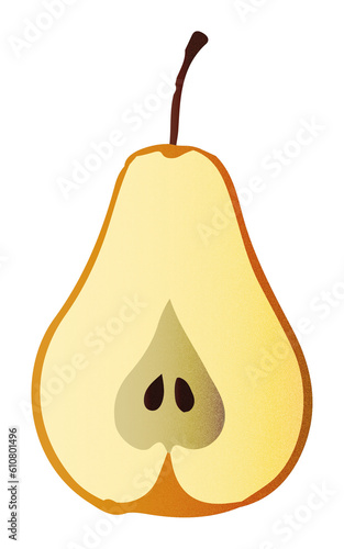 Zestaw ilustracji owoców gruszka | Owoce Fruit wector set illustration Fruits Icons Pears 