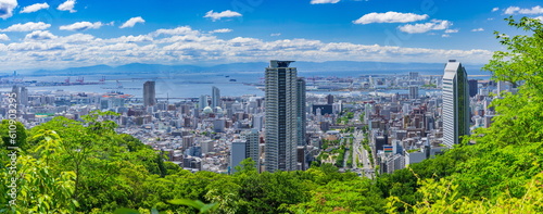 六甲山から眺める新緑と神戸の街（中央区・灘区の街並み・ポートアイランド・空港島が見えます）