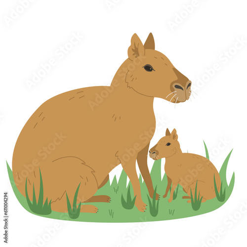 Patagonian mara illustration. Vector hand drawn Patagonian cavy or dillaby animal. 