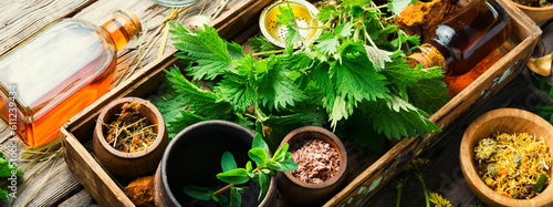 Healing herbs in herbal medicine