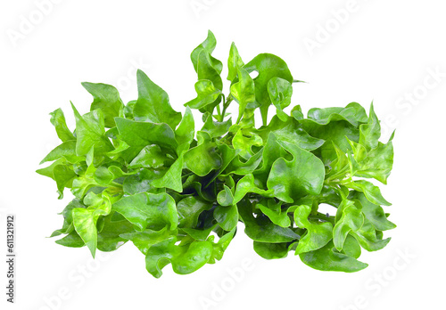 watercress isolated on transparent png
