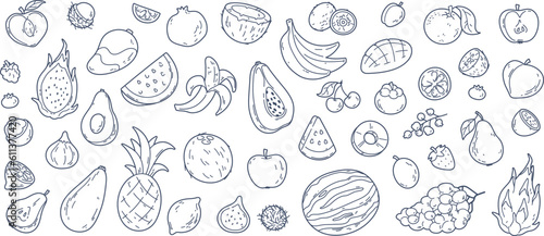 Hand drawn exotic fruit doodles, coconut and lemon slices. Cute tropical fruits, dragon fruit, melon slice and berries, vitamin rich food sketch stickers, summer fresh organic ingredients vector set