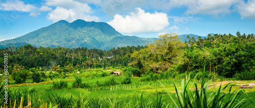 Beautiful Bali rice fields and volcano. Rice terraces in Bali, Indonesia