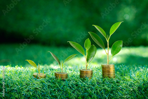 Coins and plants are grown on a pile of coins.Concept for finance and banking. The idea of saving money and increasing finances. Nature background
