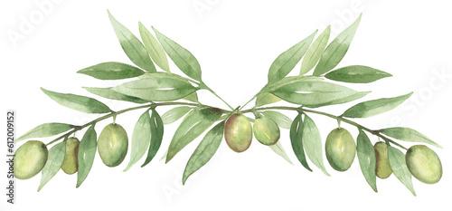 Watercolor hand drawn olive leaves and berry illustration, olives decor clipart, delicate floral bouquet clip art