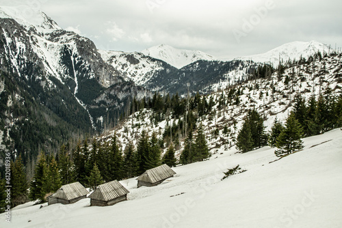 Szałasy, góralskie drewniane chaty na Hali Stoły w Dolinie Kościeliskiej w Tatrach, Kościelisko, Zakopane