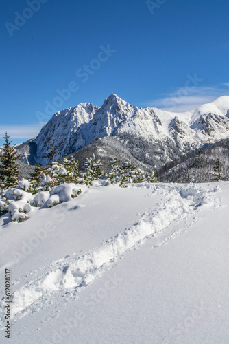 Tatry zima góry w śniegu, Giewont, szlak, ścieżka, Tatry Zachodnie, Tatrzański Park Narodowy, góra, góry, las, kościelisko, zakopane