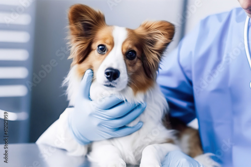 Cropped image of veterinarian doctor holding cute dog puppy in arms in veterinary clinic, generative ai.