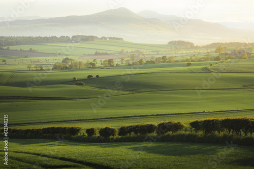 Scenic rolling landscape view across green pastoral farmland to Lomond Hills Regional Park and West Lomond Hill from outside of Kennoway, Fife, Scotland, UK.