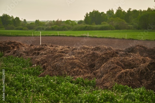 Pile of organic dung. Steaming pile of manure on an agricultural field for growing bioproducts. Sustainable Nutrient Source