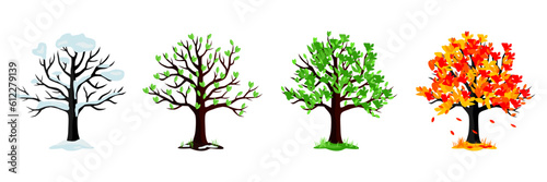 Cartoon tree collection. Set of different season tree. Winter, spring, summer, fall tree collection