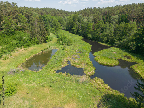 Pliszka River - the wildest river in Poland, Lubuskie Voivodeship