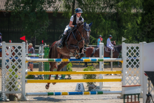 Horse, show jumper, with rider, female during the test when jumping over an obstacle..