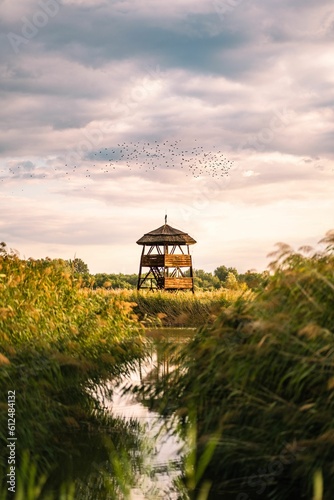 birdwatch tower sitting in a grass field near the water