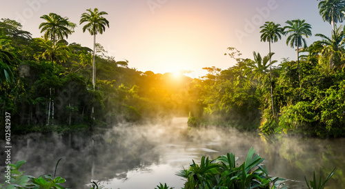 beautiful amazon river with mist