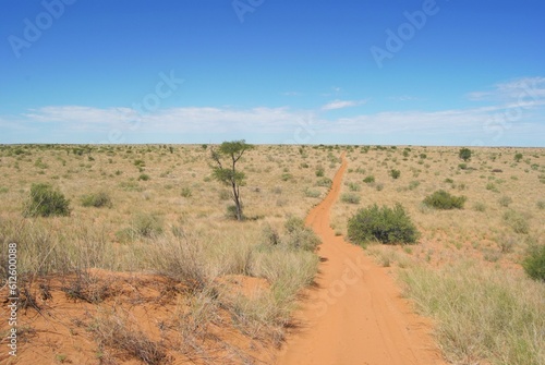 Beautiful view of a road in the middle of a desert under the clear sky