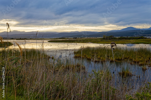Sunset with reflections over a lake with reeds and waterfowl near Knysna, South Africa
